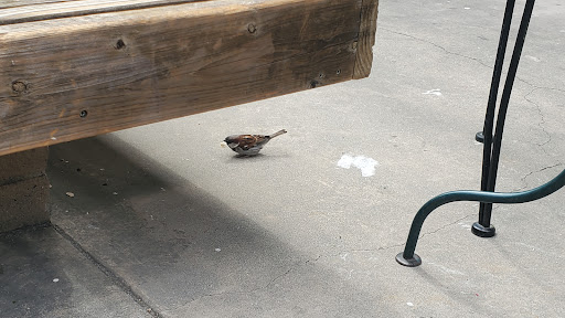 Shopping Mall «The Kings Village Shopping Center», reviews and photos, 230 Mt Hermon Rd, Scotts Valley, CA 95066, USA