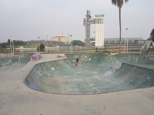 Skatepark Plaza De Armas