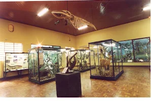 Museum of Natural History of Campinas image