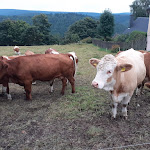 Photo n°2 de l'avis de Heiko.c fait le 26/09/2021 à 17:47 sur le  Hotel Drei Kronen à Ilmenau