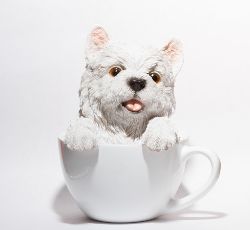 Explore medusa tattoo ideas, creative tattoo ideas in San Leandro, available at Orbit Skate and Boutique- Skate Shop & Piercing Shop in San Leandro, CA