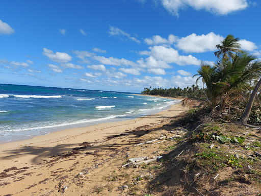 Playa La Vacama