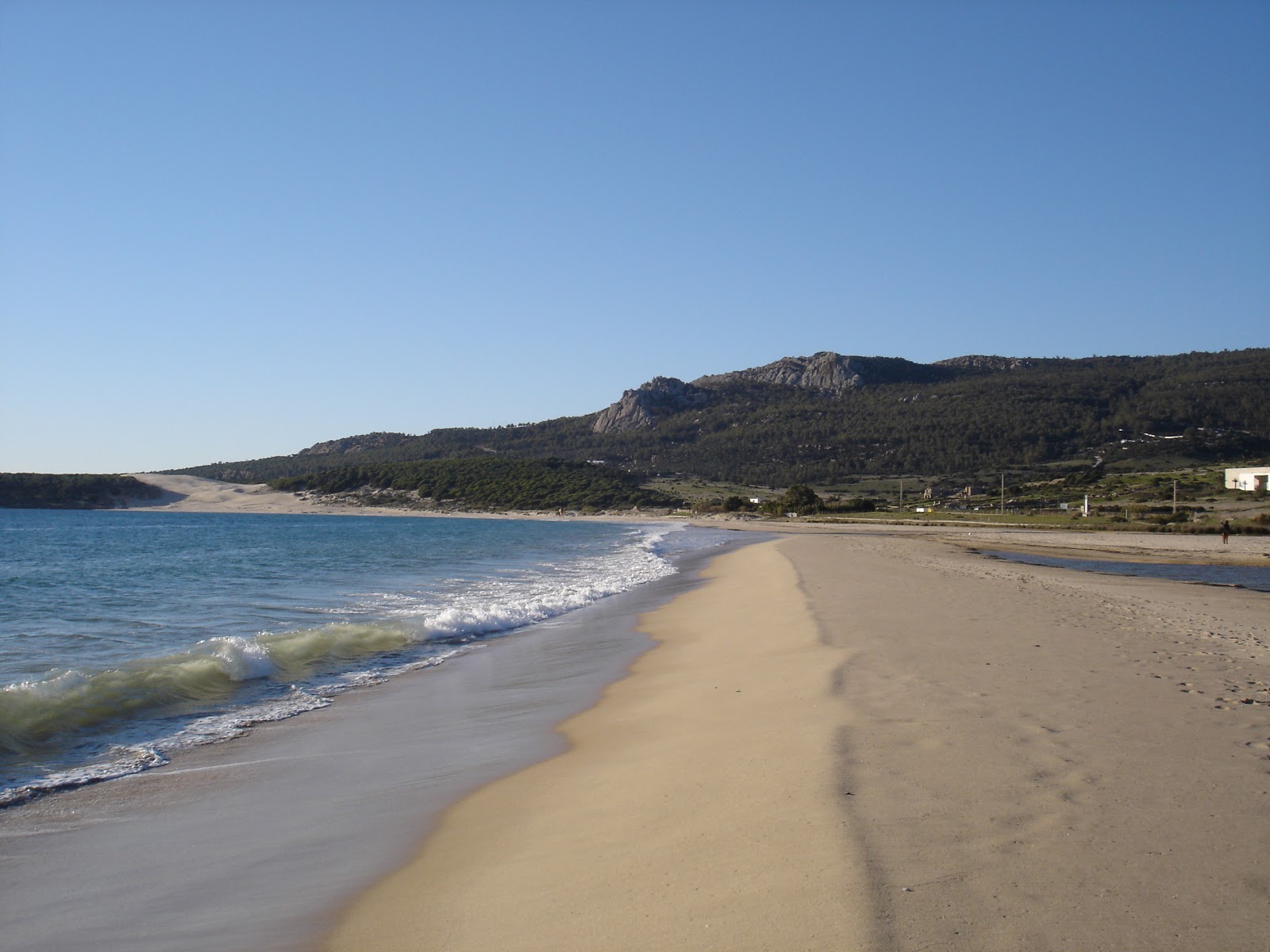 Playa Bolonia photo #2