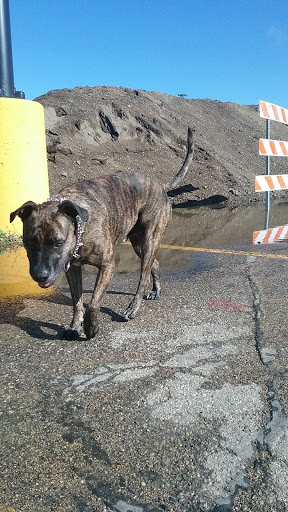 Casino «Dakota Magic Casino», reviews and photos, 16849 102nd St SE, Hankinson, ND 58041, USA