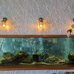 Photo n°1 de l'avis de Alexander.n fait le 09/12/2023 à 15:45 sur le  Maré - José Avillez à Cascais