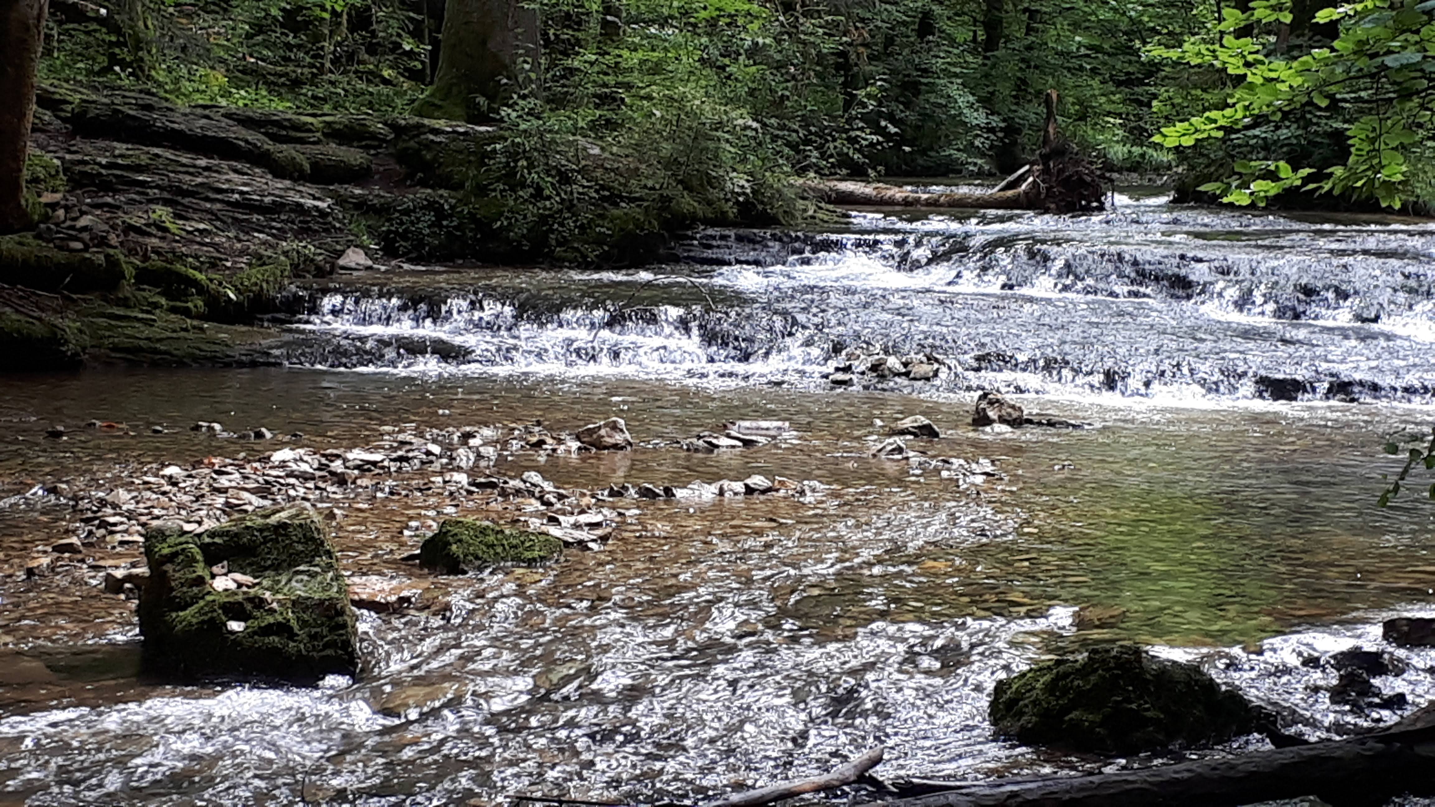 Photo n° 39 de l'avis de Françoise.o fait le 02/08/2021 à 20:40