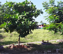 Parque 5 de Febrero photo