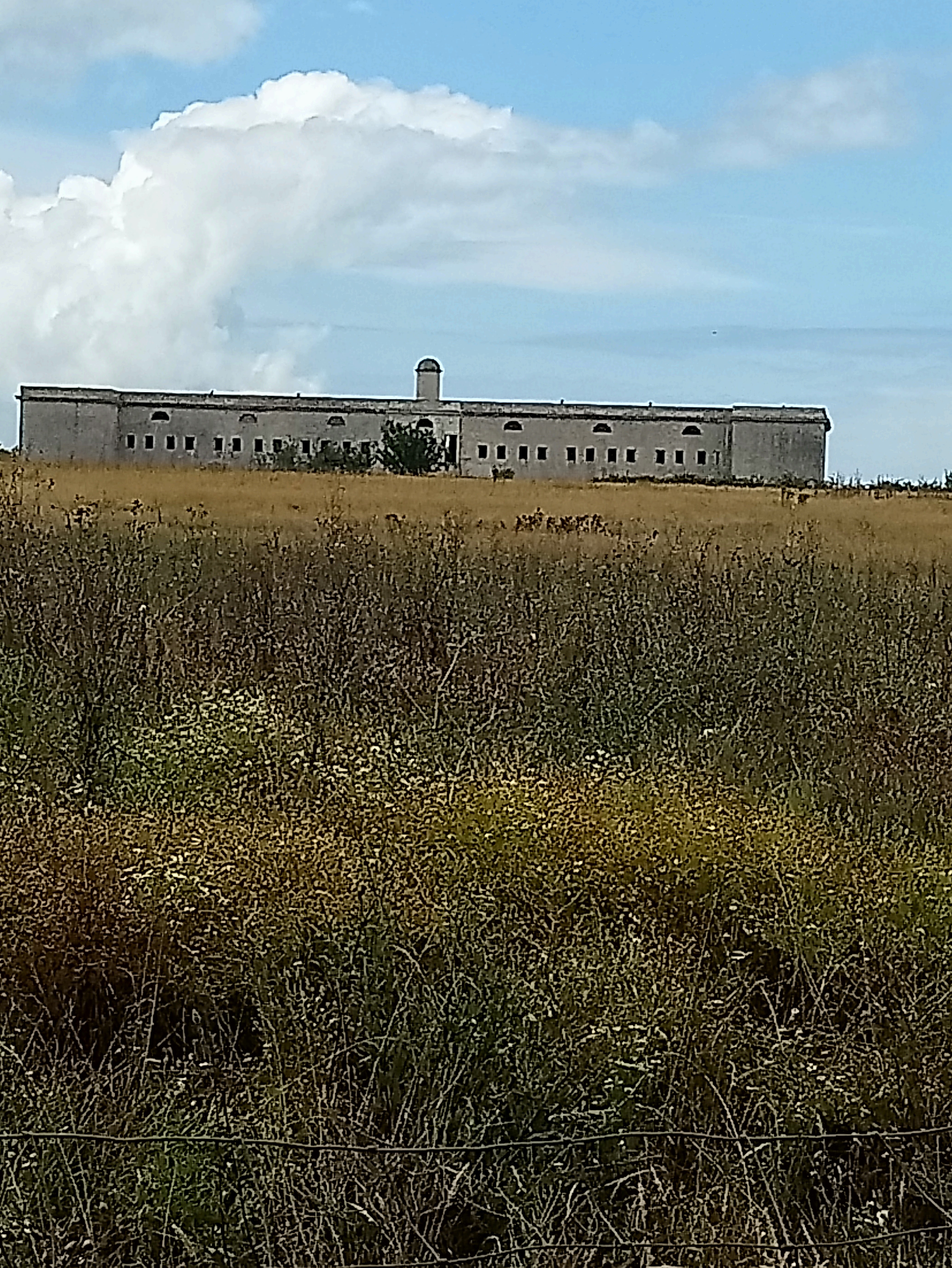 Photo n° 3 de l'avis de Bernard.o fait le 23/06/2022 à 17:06