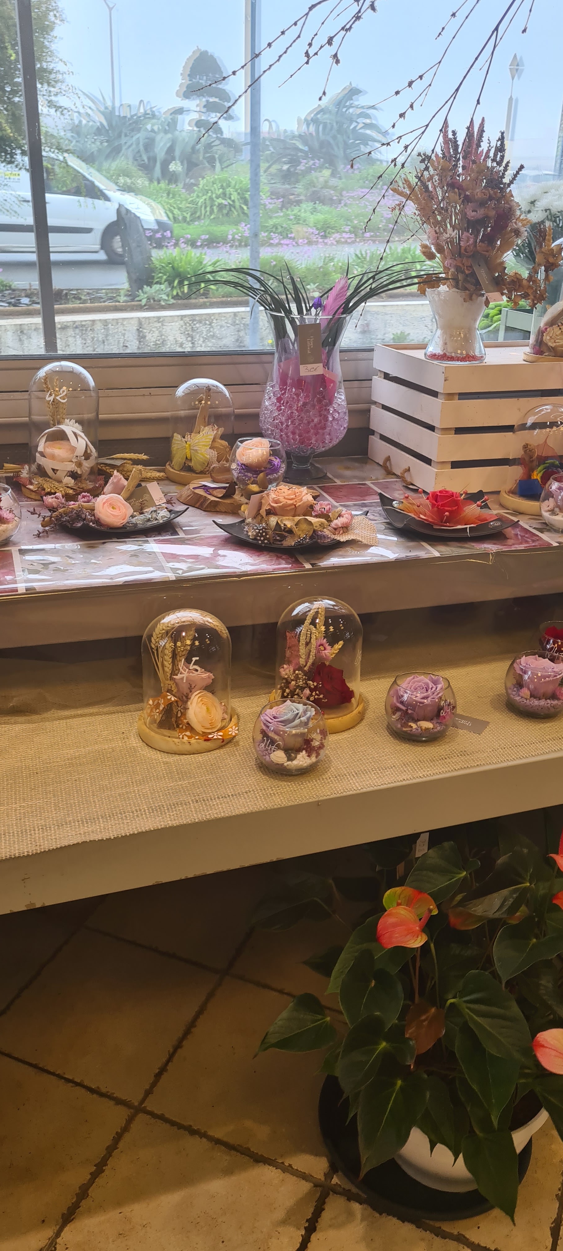 Photo n° 2 de l'avis de laetitia.a fait le 17/08/2023 à 16:55