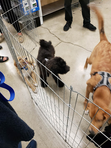 Pet Supply Store «Petco Animal Supplies», reviews and photos, 664 New Loudon Rd #240, Latham, NY 12110, USA