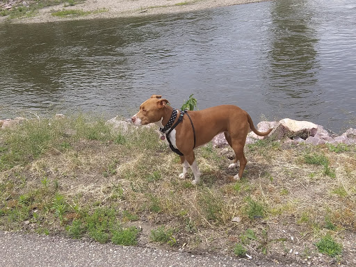 Park «Luverne City Park», reviews and photos