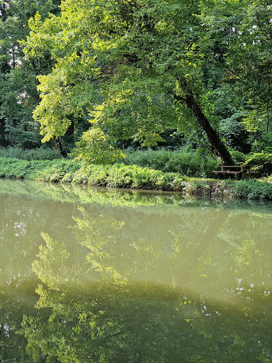 Photo 3 - Marmagne