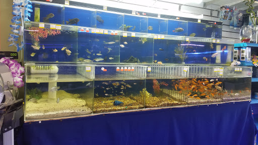 Tropical Fish Store «Coral Reef Aquariums», reviews and photos, 8416 N Armenia Ave, Tampa, FL 33604, USA