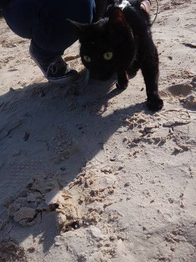 Recreation Center «Senter Recreation Center», reviews and photos, 901 Senter Rd, Irving, TX 75060, USA