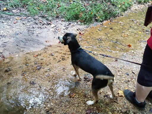 Park «Rockburn Branch Park», reviews and photos, 6105 Rockburn Branch Park Rd, Elkridge, MD 21075, USA