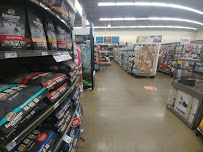 Petco - Photo 8 - Car repair in Denton, TX, Denton