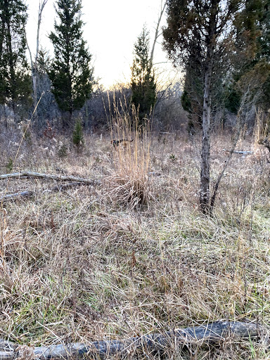 Dog Park «Beck Lake Off-Leash Dog Area», reviews and photos, 9700 Gloria Ct, Glenview, IL 60025, USA