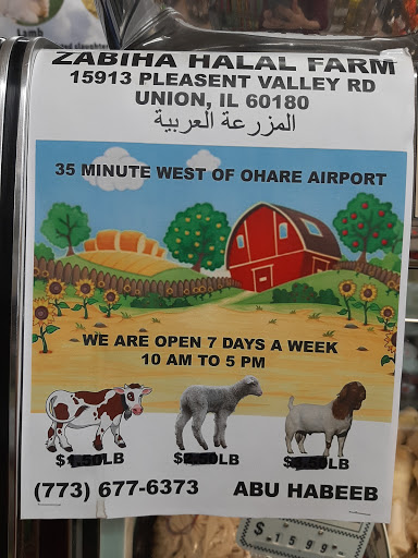 Grocery Store «Middle Eastern Market - Grocery Store», reviews and photos, 3952 Harlem Ave, Chicago, IL 60634, USA