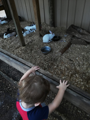 Zoo «ZooWorld Zoological and Botanical Conservatory», reviews and photos, 9008 Front Beach Rd, Panama City Beach, FL 32407, USA