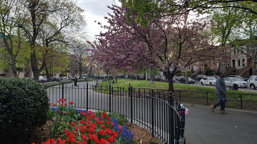 Park «Fulton Park», reviews and photos, 70 Chauncey St, Brooklyn, NY 11233, USA