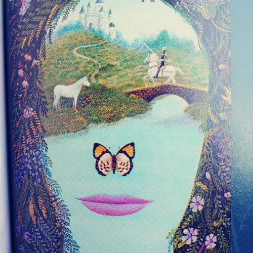 Book Store «Mojo Books & Records», reviews and photos, 2540 E Fowler Ave, Tampa, FL 33612, USA