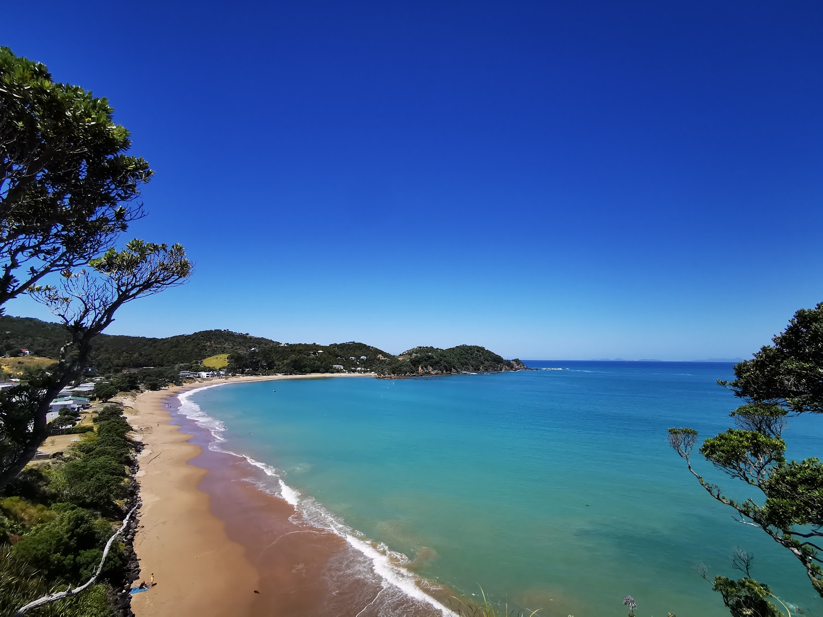 Photo de Wellingtons Bay Beach avec un rivage spacieux
