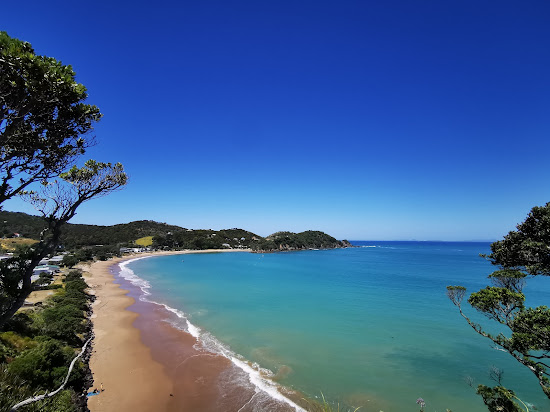 Wellingtons Bay Beach