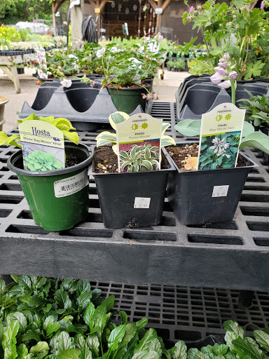 Hardware Store «Intown Ace Hardware», reviews and photos, 1404 Scott Blvd, Decatur, GA 30030, USA