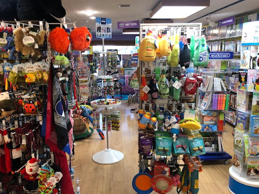 Toy Store «Peak-A-Boo Toys LLC», reviews and photos, 117 S Main St, Breckenridge, CO 80424, USA