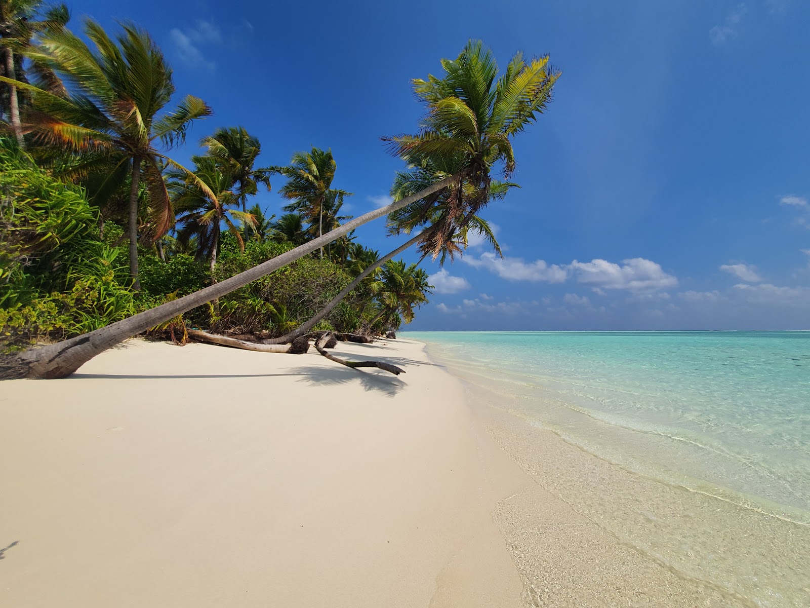 Foto di Keyodhoo Beach con una superficie del sabbia luminosa