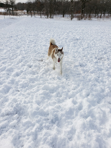 Dog Park «Bunker Hills Dog Park», reviews and photos, 1620 133rd Ave NW, Coon Rapids, MN 55448, USA