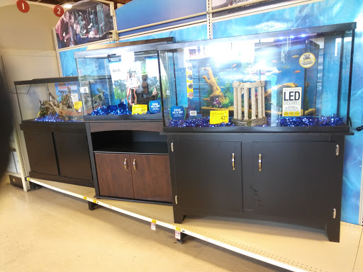 Pet Supply Store «PetSmart», reviews and photos, 3520 S El Camino Real, San Mateo, CA 94403, USA