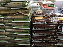 Atwater Feed - Photo 9 - Car repair in Atwater, CA, Merced