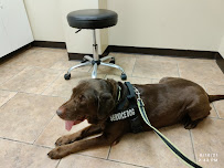 Skyline Animal Hospital - Photo 5 - Car repair in Idaho Falls, ID, Idaho Falls