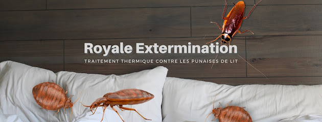 Royale Extermination - Punaises de lit