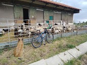 Bicicletas Hijos de Victor Gil en Collado Villalba