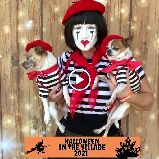 Pet Store «Wag Natural Pet Market & Grooming Tampa», reviews and photos, 304 E Davis Blvd, Tampa, FL 33606, USA