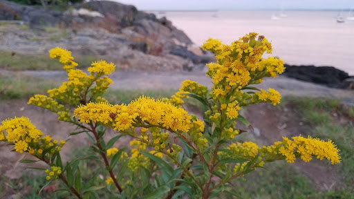 Park «Larchmont Manor Park», reviews and photos, 108 Park Ave, Larchmont, NY 10538, USA