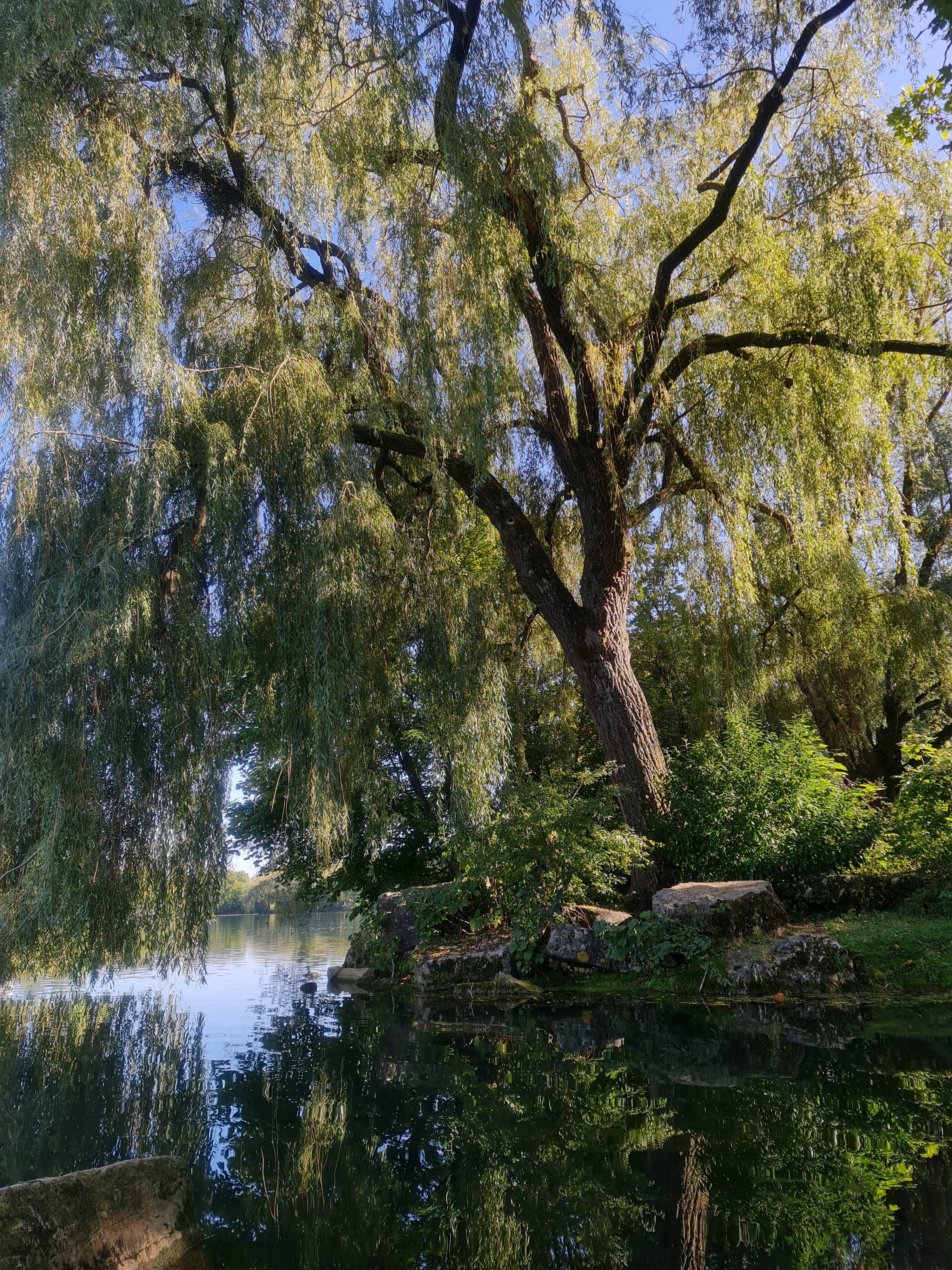 Photo n° 1 de l'avis de Fernanda.i fait le 12/10/2023 à 09:32