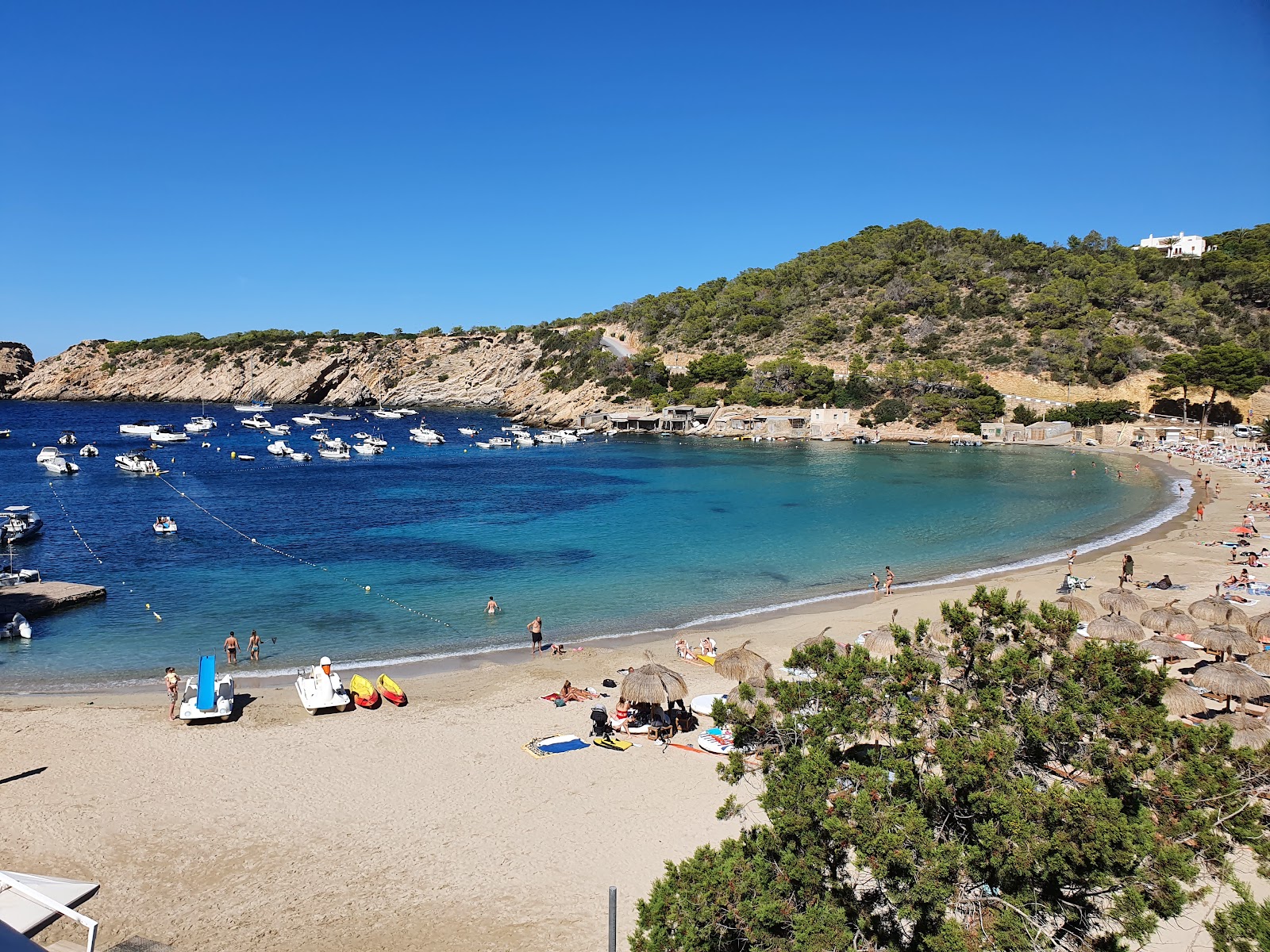 Foto de Playa Cala Vadella con brillante arena fina superficie