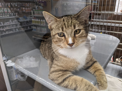 Pet Store «PetSmart», reviews and photos, 850 Folly Rd, Charleston, SC 29412, USA