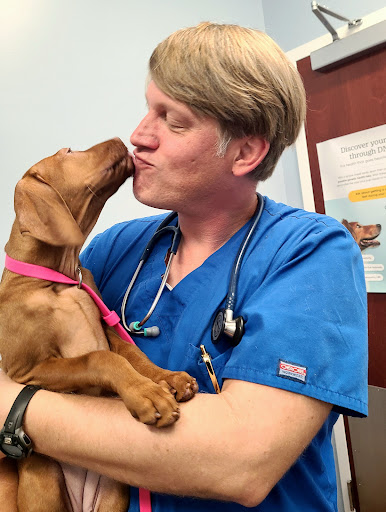 Homestead Veterinary Hospital image