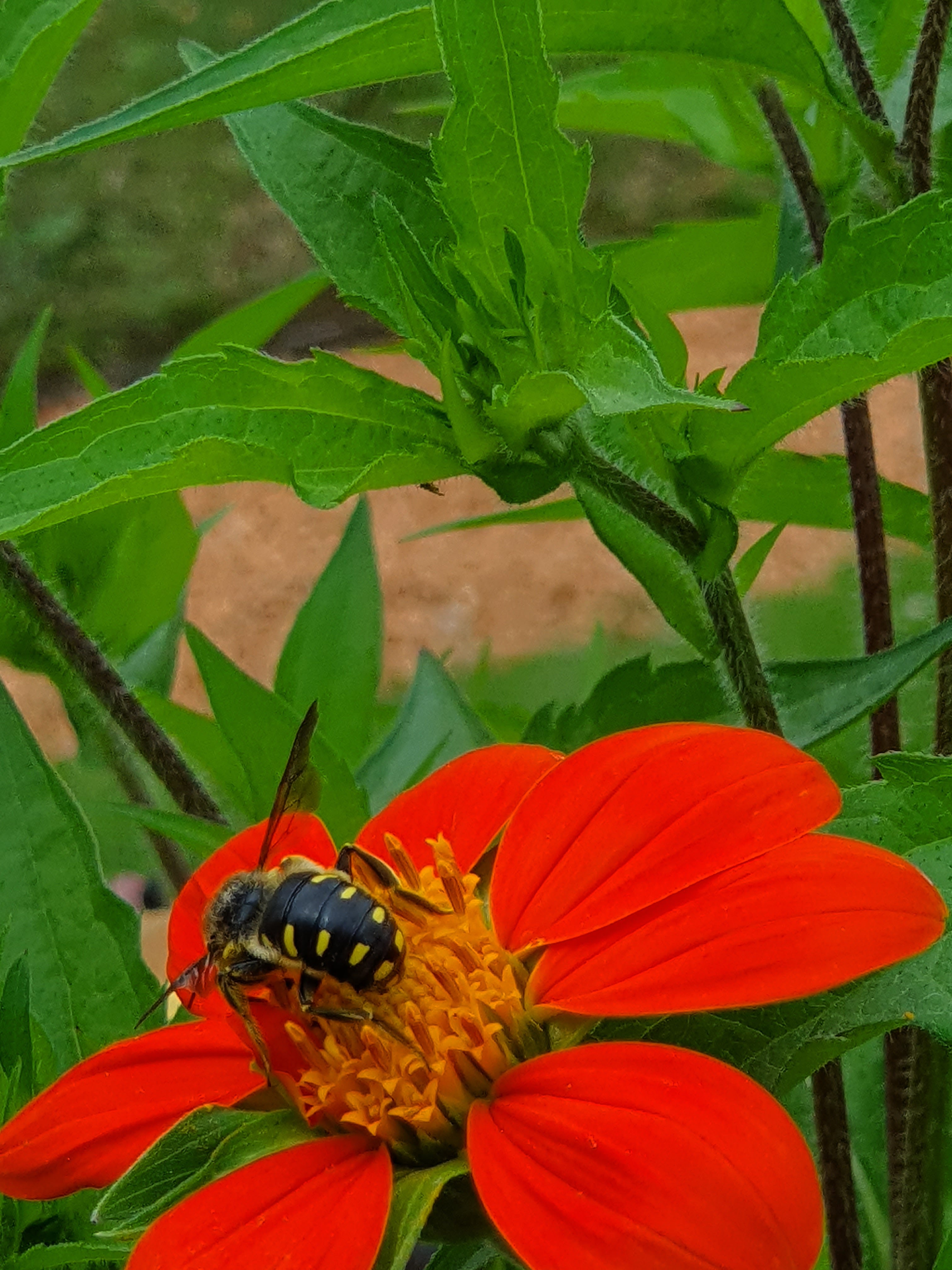 Photo n° 21 de l'avis de Peter.e fait le 06/08/2019 à 15:24