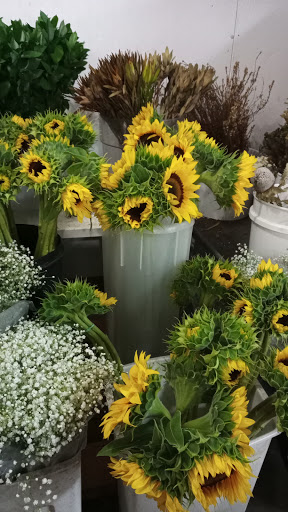 Florist «The Flower Place», reviews and photos, 860 NE 79th St, Miami, FL 33138, USA