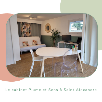 Plume et Sens - graphothérapie - rééducation des difficultés d'écriture - coaching scolaire à Saint-Alexandre