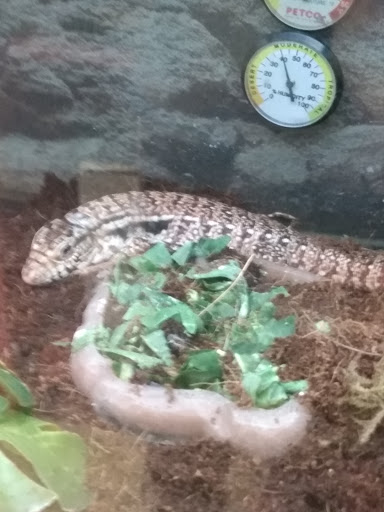 Pet Supply Store «Petco Animal Supplies», reviews and photos, 801 W Lake Ave, Peoria, IL 61614, USA