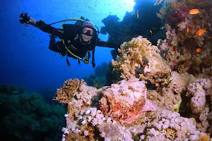 Tauchschule-Tauchausbildung-Tauchkurse! Tauchen lernen bei Dive Pirates image