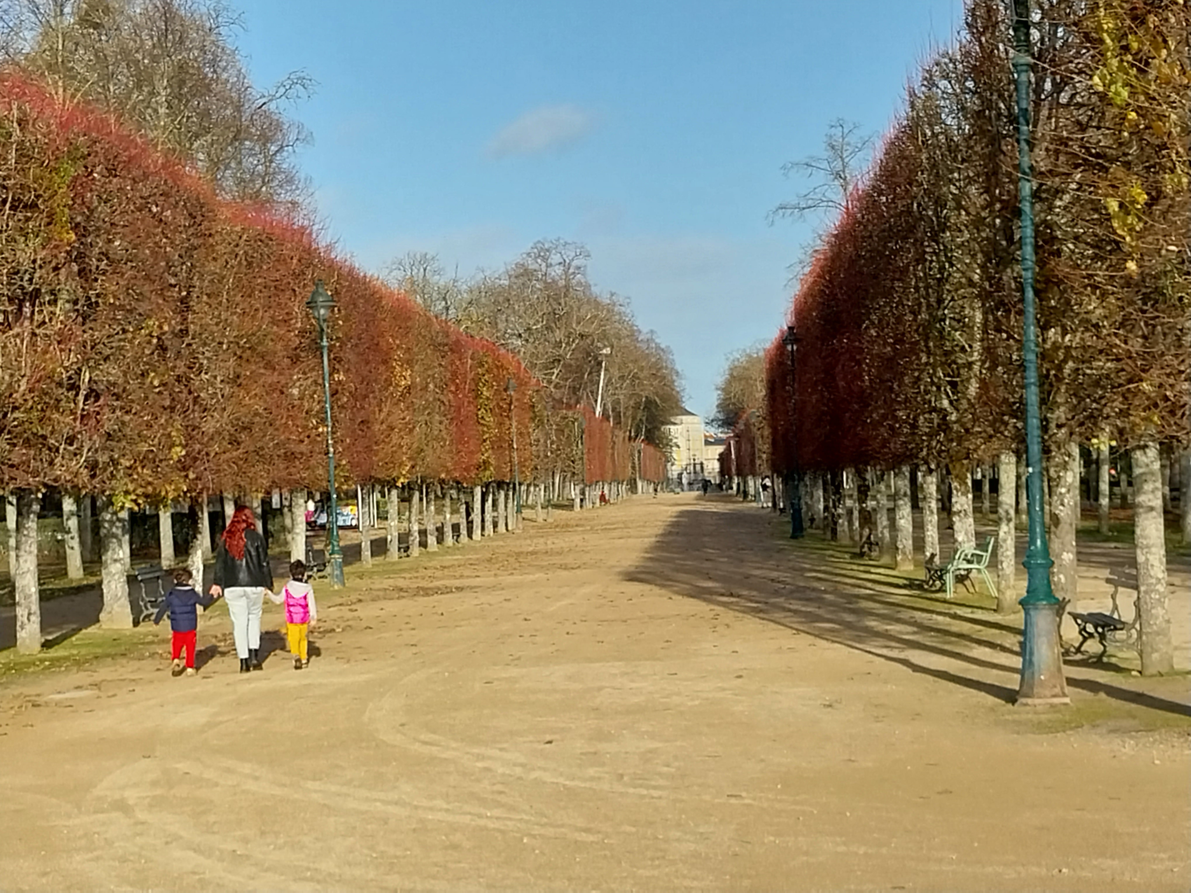 Photo n° 4 de l'avis de Luc.r fait le 23/11/2022 à 19:07