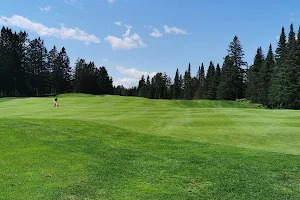 Club de golf du Lac St-Joseph image