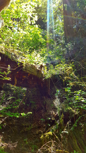 Park «MacLeay Park Entrance», reviews and photos, 2960 NW Upshur St, Portland, OR 97210, USA